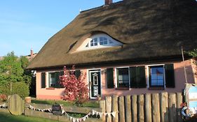 Haus 